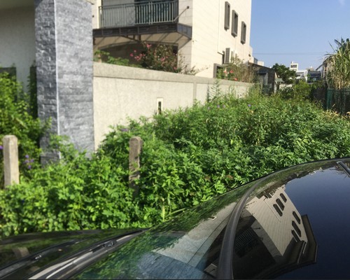 台南鋪抑草蓆, 台南定期除草, 台南庭園維護, 台南園藝景觀維護, 台南黑網鋪設