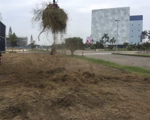 台南建地除草, 台南建地割草, 台南環境清理, 台南除草景觀工程, 台南重劃土地除草, 台南果樹農地除草, 台南園區空地除草, 台南除草鋸樹, 台南墓地清理, 台南道路除草, 
    	台南圍籬工程除草, 台南代客除草, 台南除(割)草作業, 台南割草, 台南除草, 台南割草整地, 台南除草整地, 台南空地除草價格, 台南除草工, 台南整地除草費用, 
        台南空地割草, 台南整地除草, 台南空地除草