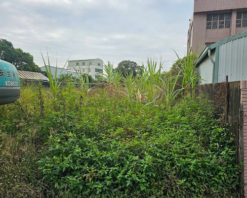 台南割草, 台南除草, 台南空地除草, 台南代客除草, 台南除(割)草作業