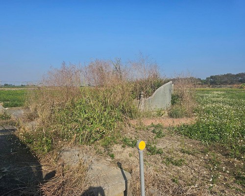 台南墓地除草, 台南墓園定期除草, 台南墓園除草, 台南割草, 台南除草, 台南割草整地, 台南除草整地, 台南代客除草, 台南空地除草價格, 台南除草工, 台南整地除草費用, 
        台南建地割草, 台南整地除草, 台南建地除草