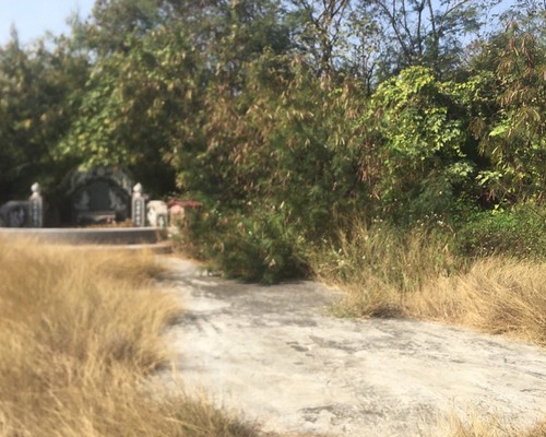 台南墓地除草, 台南墓園定期除草, 台南墓園除草, 台南學甲割草, 台南學甲除草, 台南學甲空地除草, 台南學甲代客除草, 台南學甲除(割)草作業