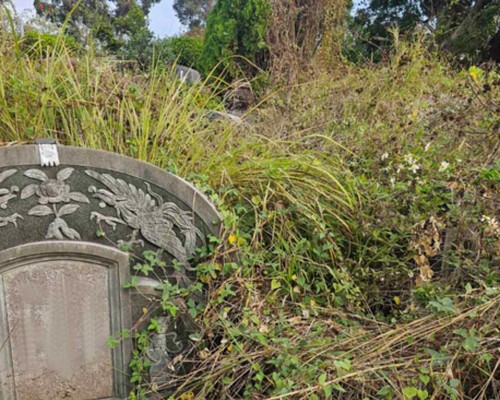 台南墓地除草, 台南墓園定期除草, 台南南區墓園除草, 台南南區割草, 台南南區除草, 台南南區空地除草, 台南南區代客除草, 台南南區除(割)草作業