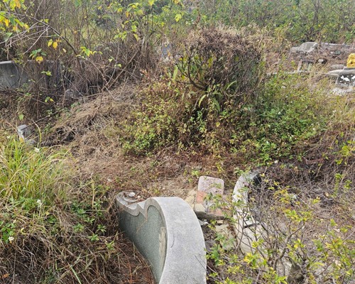 台南墓地除草, 台南墓園定期除草, 台南南區墓園除草, 台南南區割草, 台南南區除草, 台南南區空地除草, 台南南區代客除草, 台南南區除(割)草作業