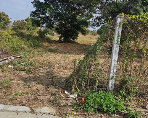 台南建地除草, 台南建地割草, 台南環境清理, 台南除草景觀工程, 台南重劃土地除草, 台南果樹農地除草, 台南園區空地除草, 台南除草鋸樹, 台南墓地清理, 台南道路除草, 
    	台南圍籬工程除草, 台南代客除草, 台南除(割)草作業, 台南割草, 台南除草, 台南割草整地, 台南除草整地, 台南空地除草價格, 台南除草工, 台南整地除草費用, 
        台南空地割草, 台南整地除草, 台南空地除草