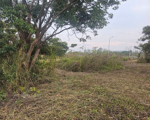 台南建地除草, 台南建地割草, 台南環境清理, 台南除草景觀工程, 台南重劃土地除草, 台南果樹農地除草, 台南園區空地除草, 台南除草鋸樹, 台南墓地清理, 台南道路除草, 
    	台南圍籬工程除草, 台南代客除草, 台南除(割)草作業, 台南割草, 台南除草, 台南割草整地, 台南除草整地, 台南空地除草價格, 台南除草工, 台南整地除草費用, 
        台南空地割草, 台南整地除草, 台南空地除草