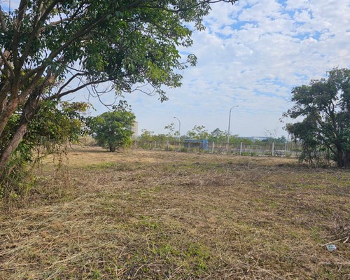 台南建地除草, 台南建地割草, 台南環境清理, 台南除草景觀工程, 台南重劃土地除草, 台南果樹農地除草, 台南園區空地除草, 台南除草鋸樹, 台南墓地清理, 台南道路除草, 
    	台南圍籬工程除草, 台南代客除草, 台南除(割)草作業, 台南割草, 台南除草, 台南割草整地, 台南除草整地, 台南空地除草價格, 台南除草工, 台南整地除草費用, 
        台南空地割草, 台南整地除草, 台南空地除草