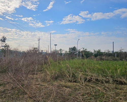 台南建地除草, 台南建地割草, 台南環境清理, 台南除草景觀工程, 台南重劃土地除草, 台南果樹農地除草, 台南園區空地除草, 台南除草鋸樹, 台南墓地清理, 台南道路除草, 
    	台南圍籬工程除草, 台南代客除草, 台南除(割)草作業, 台南割草, 台南除草, 台南割草整地, 台南除草整地, 台南空地除草價格, 台南除草工, 台南整地除草費用, 
        台南空地割草, 台南整地除草, 台南空地除草