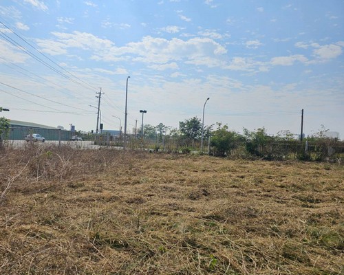 台南建地除草, 台南建地割草, 台南環境清理, 台南除草景觀工程, 台南重劃土地除草, 台南果樹農地除草, 台南園區空地除草, 台南除草鋸樹, 台南墓地清理, 台南道路除草, 
    	台南圍籬工程除草, 台南代客除草, 台南除(割)草作業, 台南割草, 台南除草, 台南割草整地, 台南除草整地, 台南空地除草價格, 台南除草工, 台南整地除草費用, 
        台南空地割草, 台南整地除草, 台南空地除草