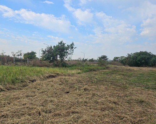 台南建地除草, 台南建地割草, 台南環境清理, 台南除草景觀工程, 台南重劃土地除草, 台南果樹農地除草, 台南園區空地除草, 台南除草鋸樹, 台南墓地清理, 台南道路除草, 
    	台南圍籬工程除草, 台南代客除草, 台南除(割)草作業, 台南割草, 台南除草, 台南割草整地, 台南除草整地, 台南空地除草價格, 台南除草工, 台南整地除草費用, 
        台南空地割草, 台南整地除草, 台南空地除草