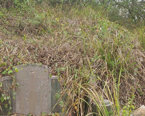 台南墓地除草, 台南墓園定期除草, 台南墓園除草, 台南割草, 台南除草, 台南空地除草, 台南代客除草, 台南除(割)草作業