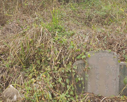 台南墓地除草, 台南墓園定期除草, 台南南區墓園除草, 台南南區割草, 台南南區除草, 台南南區空地除草, 台南南區代客除草, 台南南區除(割)草作業