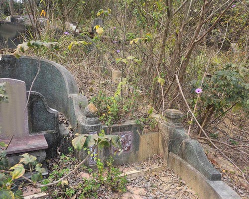 台南墓地除草, 台南墓園定期除草, 台南南區墓園除草, 台南南區割草, 台南南區除草, 台南南區空地除草, 台南南區代客除草, 台南南區除(割)草作業