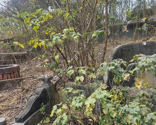 台南墓地除草, 台南墓園定期除草, 台南南區墓園除草, 台南南區割草, 台南南區除草, 台南南區空地除草, 台南南區代客除草, 台南南區除(割)草作業