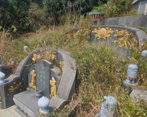 台南割草, 台南除草, 台南空地除草, 台南代客除草, 台南除(割)草作業