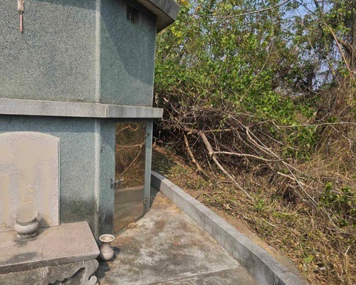 台南割草, 台南除草, 台南空地除草, 台南代客除草, 台南除(割)草作業