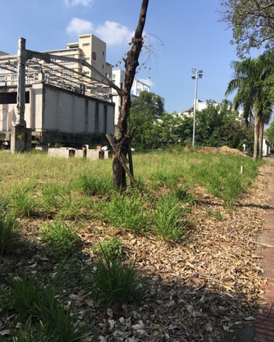 台南歸仁割草, 台南歸仁除草, 台南歸仁校園除草, 台南歸仁代客除草, 台南歸仁除(割)草作業