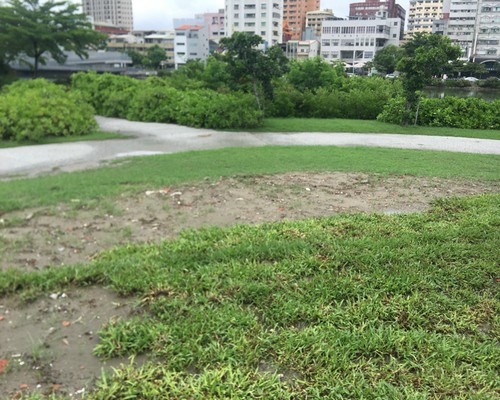 台南草皮鋪設, 台南草皮種植, 台南割草, 台南除草, 台南校園除草, 台南代客除草, 台南除(割)草作業