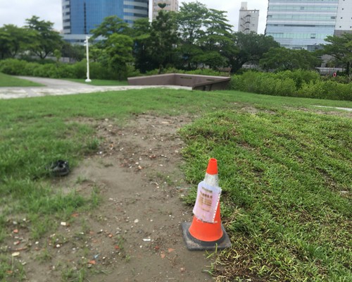 台南中西區草皮鋪設, 台南中西區草皮種植, 台南中西區割草, 台南中西區除草, 台南中西區代客除草, 台南中西區除(割)草作業