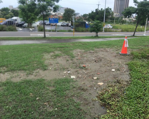 台南草皮鋪設, 台南草皮種植, 台南割草, 台南除草, 台南校園除草, 台南代客除草, 台南除(割)草作業