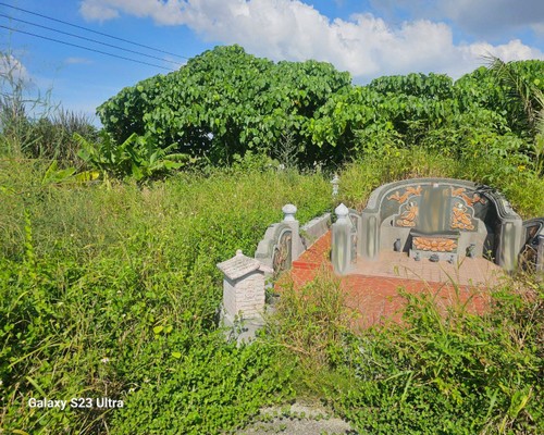 台南墓地除草, 台南墓地鋸樹, 台南墓地環境整理, 台南墓地除草, 台南墓園定期除草, 台南墓園除草, 台南割草, 台南除草, 台南割草整地, 台南除草整地, 台南代客除草, 台南空地除草價格, 台南除草工, 台南整地除草費用, 
        台南建地割草, 台南整地除草, 台南建地除草