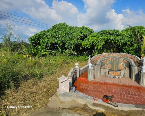 台南墓地除草, 台南墓地鋸樹, 台南墓地環境整理, 台南墓地除草, 台南墓園定期除草, 台南墓園除草, 台南割草, 台南除草, 台南割草整地, 台南除草整地, 台南代客除草, 台南空地除草價格, 台南除草工, 台南整地除草費用, 
        台南建地割草, 台南整地除草, 台南建地除草