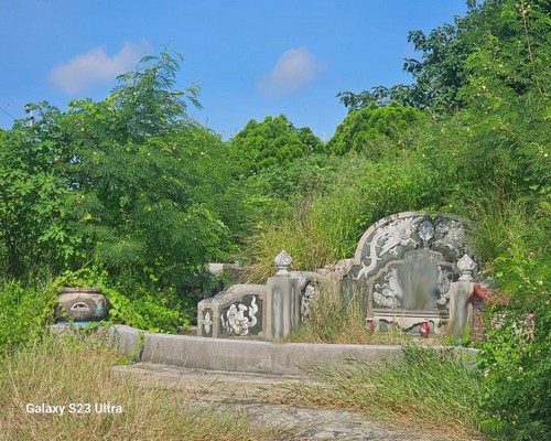 台南墓地除草, 台南墓地鋸樹, 台南墓地環境整理, 台南墓地除草, 台南墓園定期除草, 台南南區墓園除草, 台南南區割草, 台南南區除草, 台南南區空地除草, 台南南區代客除草, 台南南區除(割)草作業