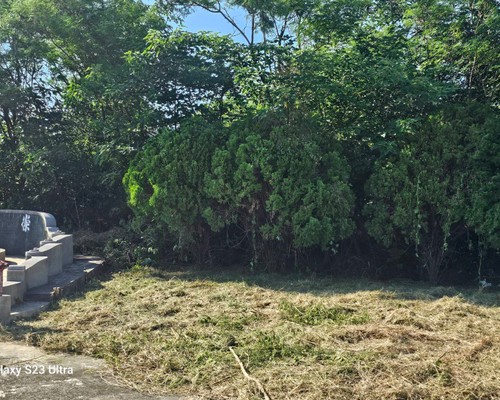 台南墓地除草, 台南墓地鋸樹, 台南墓地環境整理, 台南墓地除草, 台南墓園定期除草, 台南墓園除草, 台南割草, 台南除草, 台南空地除草, 台南代客除草, 台南除(割)草作業