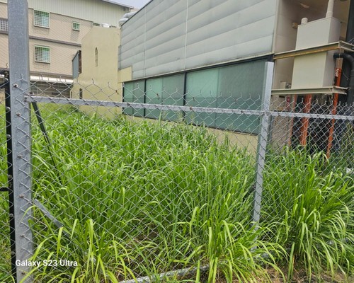 台南居家庭園除草清運, 台南居家庭園整理, 台南社區庭園整理, 
                    台南除草清運, 台南建地除草, 台南鋸樹, 台南環境整理, 台南建地割草, 台南環境清理, 台南除草景觀工程, 台南重劃土地除草, 台南果樹農地除草, 
                    台南園區空地除草, 台南除草鋸樹, 台南墓地清理, 台南道路除草, 台南圍籬工程除草, 台南代客除草, 台南除(割)草作業, 台南割草, 台南除草, 
                    台南割草整地, 台南除草整地, 台南空地除草價格, 台南除草工, 台南整地除草費用, 台南空地割草, 台南整地除草, 台南空地除草