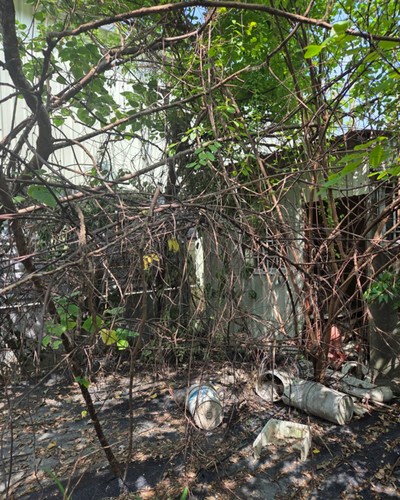台南麻豆環境整理, 台南麻豆鋸樹, 台南麻豆空屋除草, 台南麻豆樹木雜草廢棄物清運, 
                    台南麻豆空地除草, 台南麻豆除草鋸樹, 台南麻豆代客除草, 台南麻豆除(割)草作業, 台南麻豆割草, 台南麻豆除草, 台南麻豆割草整地, 台南麻豆除草整地, 台南麻豆空地除草價格, 台南麻豆除草工, 
                    台南麻豆整地除草費用, 台南麻豆空地割草, 台南麻豆整地除草, 台南麻豆空地除草