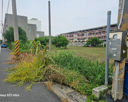 台南割草, 台南除草, 台南空地除草, 台南代客除草, 台南除(割)草作業