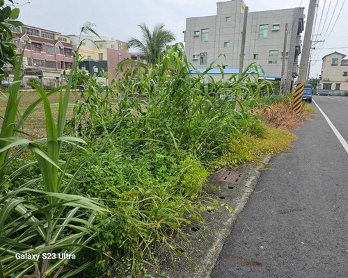 學甲割草, 台南除草, 學甲空地除草, 學甲代客除草, 學甲除(割)草作業