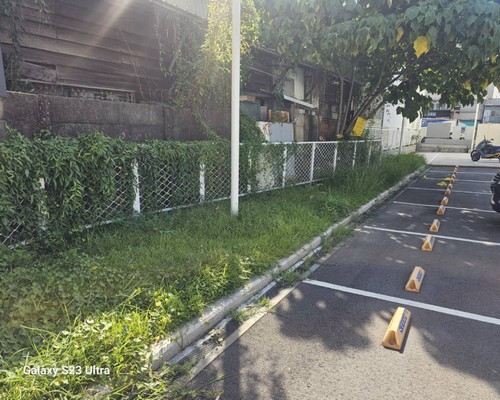 台南樹木移除, 台南樹木修剪, 台南景觀園藝庭園維護, 
                    台南墓地除草整理, 台南庭園環境整理, 台南門市除草, 台南園藝除草, 台南園藝整理, 台南環境維護, 台南定期除草, 台南庭園維護, 
                    台南園藝景觀維護除草