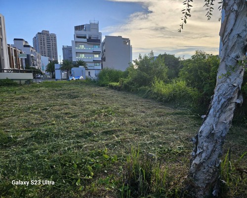 台南樹木移除, 台南市樹木修剪, 台南市景觀園藝庭園維護, 
                    台南墓地除草整理, 台南市庭園環境整理, 台南市門市除草, 台南市園藝除草, 台南市園藝整理, 台南市環境維護, 台南市定期除草, 台南市庭園維護, 
                    台南市園藝景觀維護除草