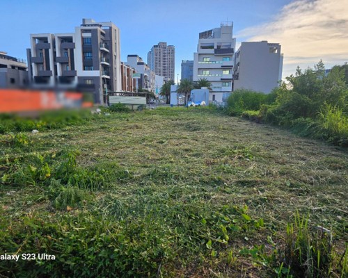 台南樹木移除, 台南市樹木修剪, 台南市景觀園藝庭園維護, 
                    台南墓地除草整理, 台南市庭園環境整理, 台南市門市除草, 台南市園藝除草, 台南市園藝整理, 台南市環境維護, 台南市定期除草, 台南市庭園維護, 
                    台南市園藝景觀維護除草