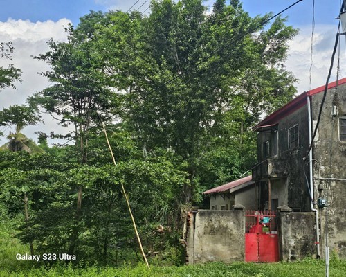 台南樹木移除, 台南樹木修剪, 台南景觀園藝庭園維護, 
                    台南墓地除草整理, 台南庭園環境整理, 台南門市除草, 台南園藝除草, 台南園藝整理, 台南環境維護, 台南定期除草, 台南庭園維護, 
                    台南園藝景觀維護除草