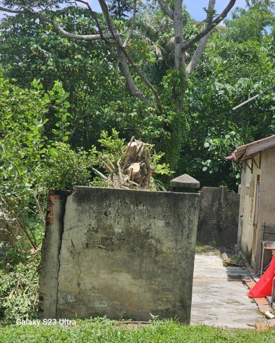 台南仁德樹木移除, 台南仁德樹木修剪, 台南仁德景觀園藝庭園維護, 
                    台南仁德墓地除草整理, 台南仁德庭園環境整理, 台南仁德門市除草, 台南仁德園藝除草, 台南仁德園藝整理, 台南仁德環境維護, 台南仁德定期除草, 台南仁德庭園維護, 
                    台南仁德園藝景觀維護除草