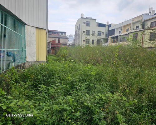 台南建地割草, 台南代客除草價格行情?, 台南除草公司推薦, 
                    台南除草價格, 台南門市除草, 台南園藝除草, 台南定期除草