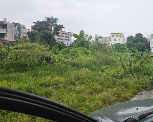 台南建地割草, 台南代客除草價格行情?, 台南除草公司推薦, 
                    台南除草價格, 台南門市除草, 台南園藝除草, 台南定期除草