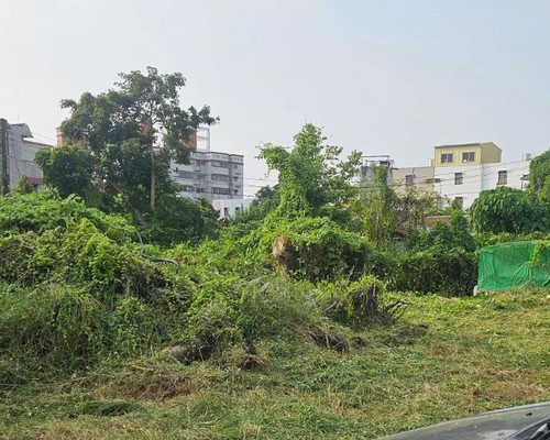 台南建地割草, 台南代客除草價格行情?, 台南除草公司推薦, 
                    台南除草價格, 台南門市除草, 台南園藝除草, 台南定期除草