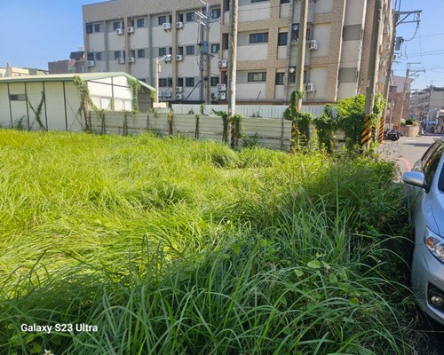 台南建地割草, 台南代客除草價格行情?, 台南除草公司推薦, 
                    台南除草價格, 台南門市除草, 台南園藝除草, 台南定期除草