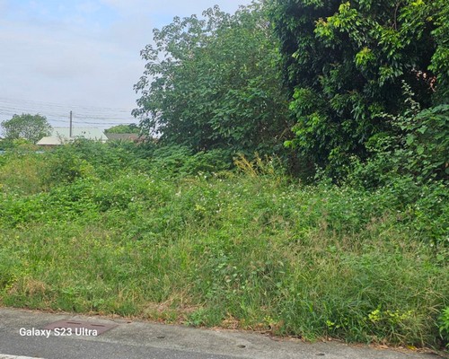 台南建地割草, 台南代客除草價格行情?, 台南除草公司推薦, 台南除草價格, 台南門市除草, 台南園藝除草, 台南定期除草