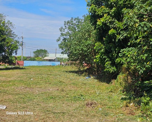 台南建地割草, 台南代客除草價格行情?, 台南除草公司推薦, 台南除草價格, 台南門市除草, 台南園藝除草, 台南定期除草