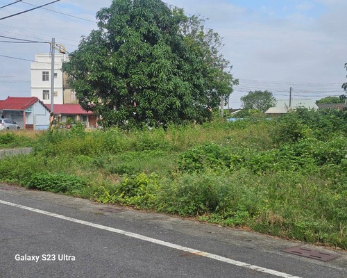 台南建地割草, 台南代客除草價格行情?, 台南除草公司推薦, 台南除草價格, 台南門市除草, 台南園藝除草, 台南定期除草