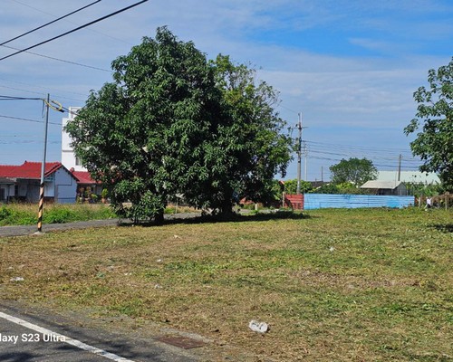 台南建地割草, 台南代客除草價格行情?, 台南除草公司推薦, 台南除草價格, 台南門市除草, 台南園藝除草, 台南定期除草