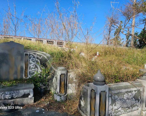 台南除草公司推薦, 台南除草價格, 台南祖厝墓園割草整理, 台南墓地除草, 台南墓地鋸樹, 
                    台南墓地環境整理, 台南割草, 台南除草, 台南割草整地, 台南除草整地, 台南代客除草, 台南空地除草價格, 台南除草工, 台南整地除草費用, 台南空地割草, 
                    台南整地除草, 台南空地除草