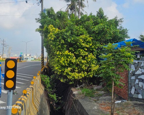 台南建地割草, 台南環境整理, 台南除草環境整理, 台南鋸樹, 台南圍籬鋸樹, 台南圍牆除草, 台南樹木移除, 
                            台南樹木修剪, 台南景觀園藝庭園維護, 台南庭園環境整理, 台南除草, 台南園藝除草, 台南園藝整理, 台南環境維護, 
                            台南定期除草, 台南庭園維護, 台南園藝景觀維護