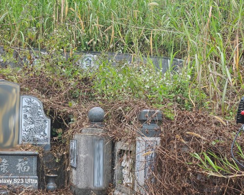 台南墓地除草, 台南墓地鋸樹, 台南墓地環境整理, 台南割草, 台南除草, 台南割草整地, 台南除草整地, 台南代客除草, 台南空地除草價格, 台南除草工, 台南整地除草費用, 
        台南墓園整理, 台南整地除草, 台南空地除草