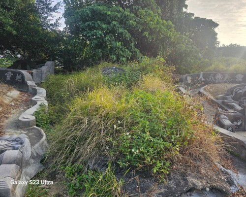 台南割草, 台南除草, 台南空地除草, 台南代客除草, 台南除(割)草作業