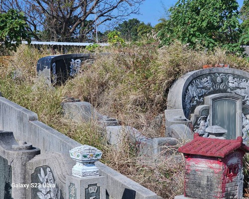 台南割草, 台南除草, 台南空地除草, 台南代客除草, 台南除(割)草作業