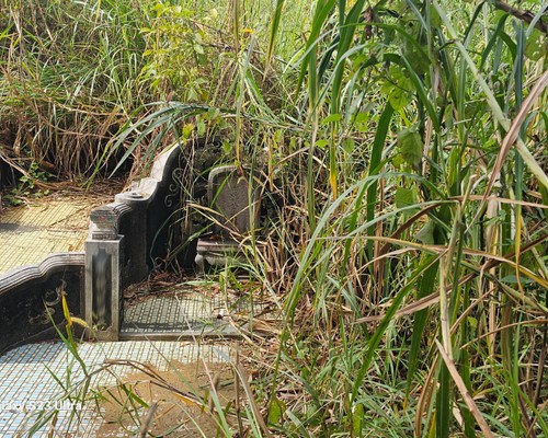 台南墓地除草, 台南墓園定期除草, 台南墓園除草, 台南割草, 台南除草, 台南割草整地, 台南除草整地, 台南代客除草, 台南空地除草價格, 台南除草工, 台南整地除草費用, 
        台南建地割草, 台南整地除草, 台南建地除草